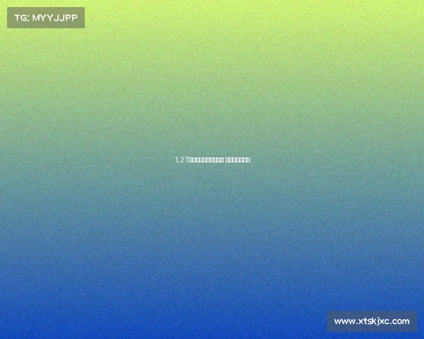 1.2T的宝来用上迈腾的内饰 价格便宜配置高