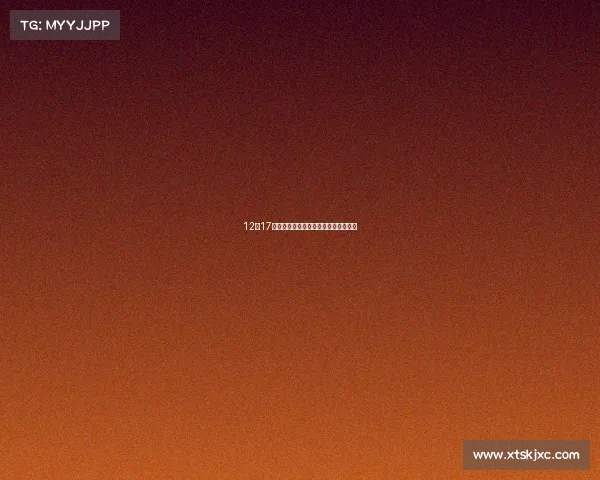 12月17日起，金乡公交部分线路调整发车时间